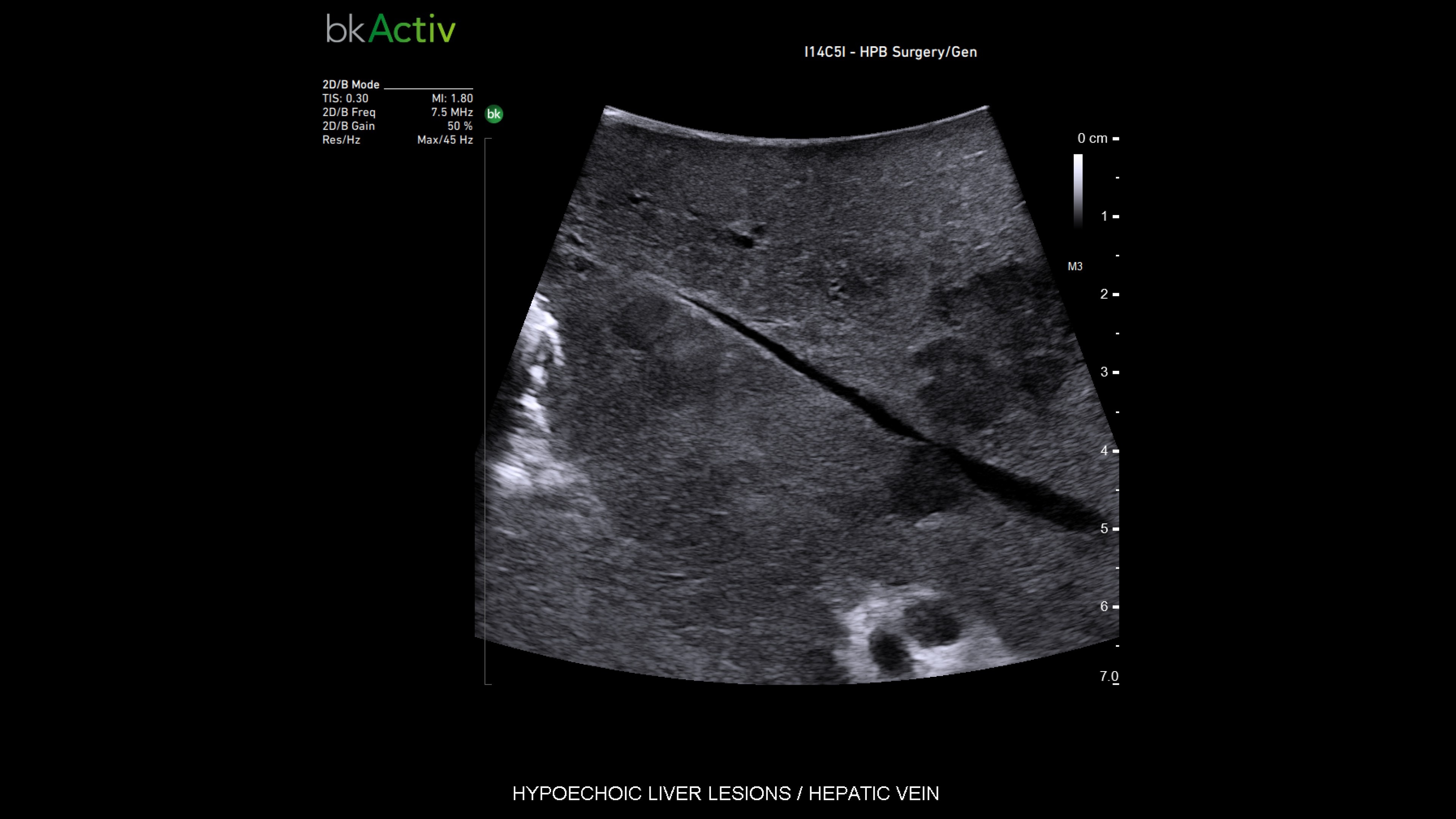 Product Media Carousel Image