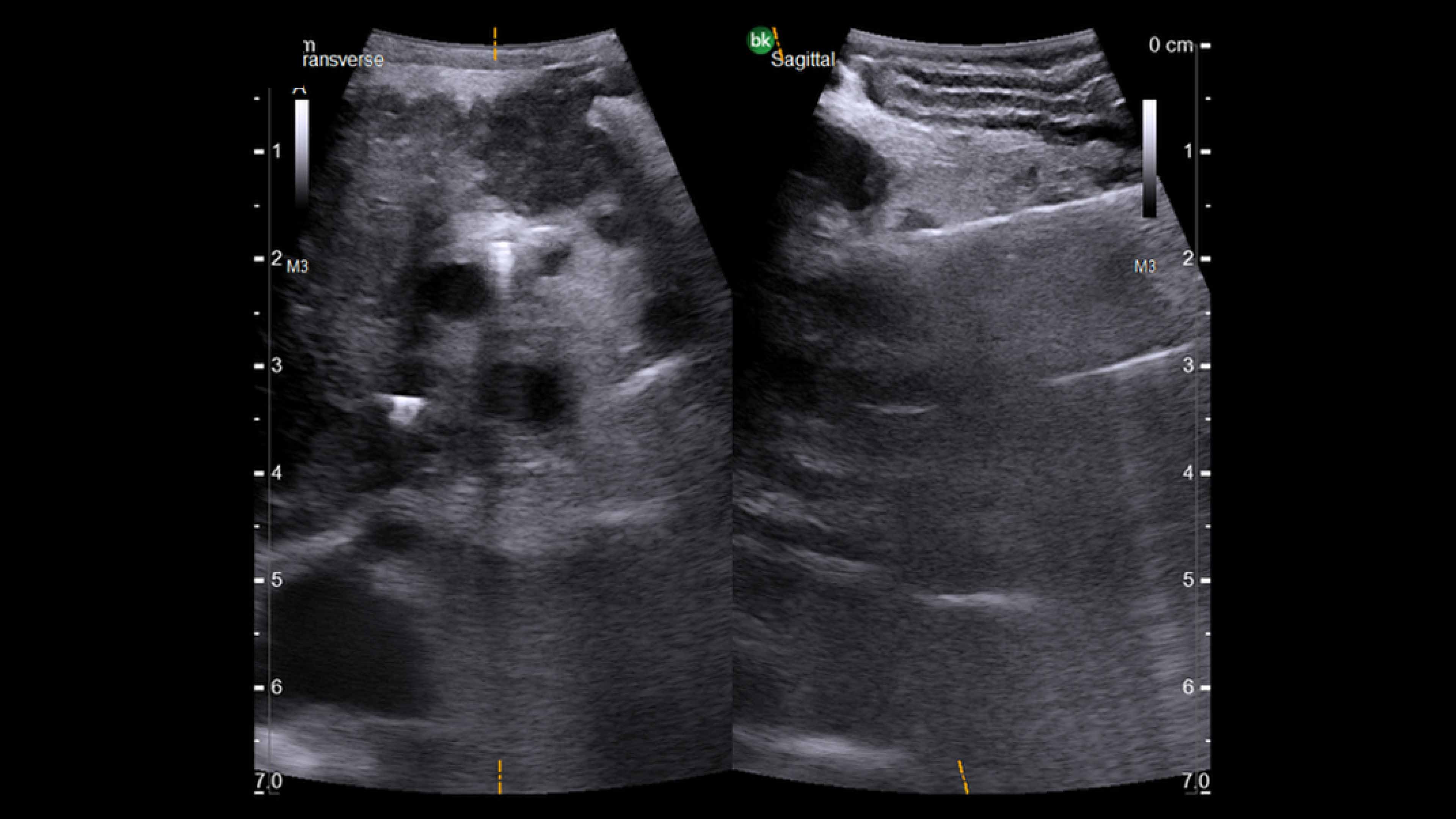 Product Media Carousel Image