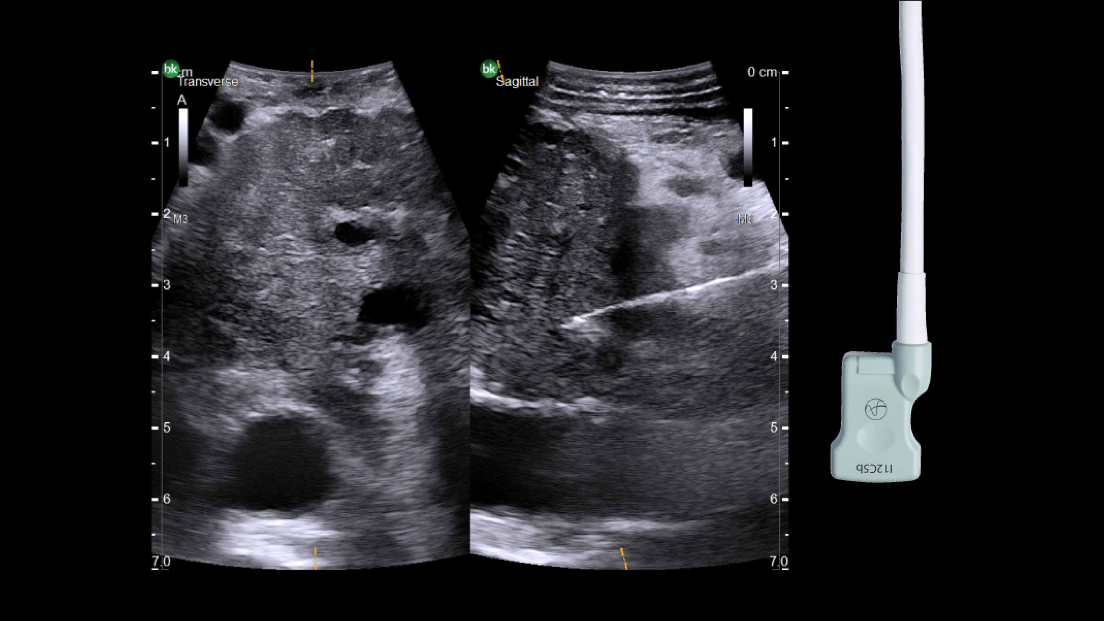 Product Media Carousel Image