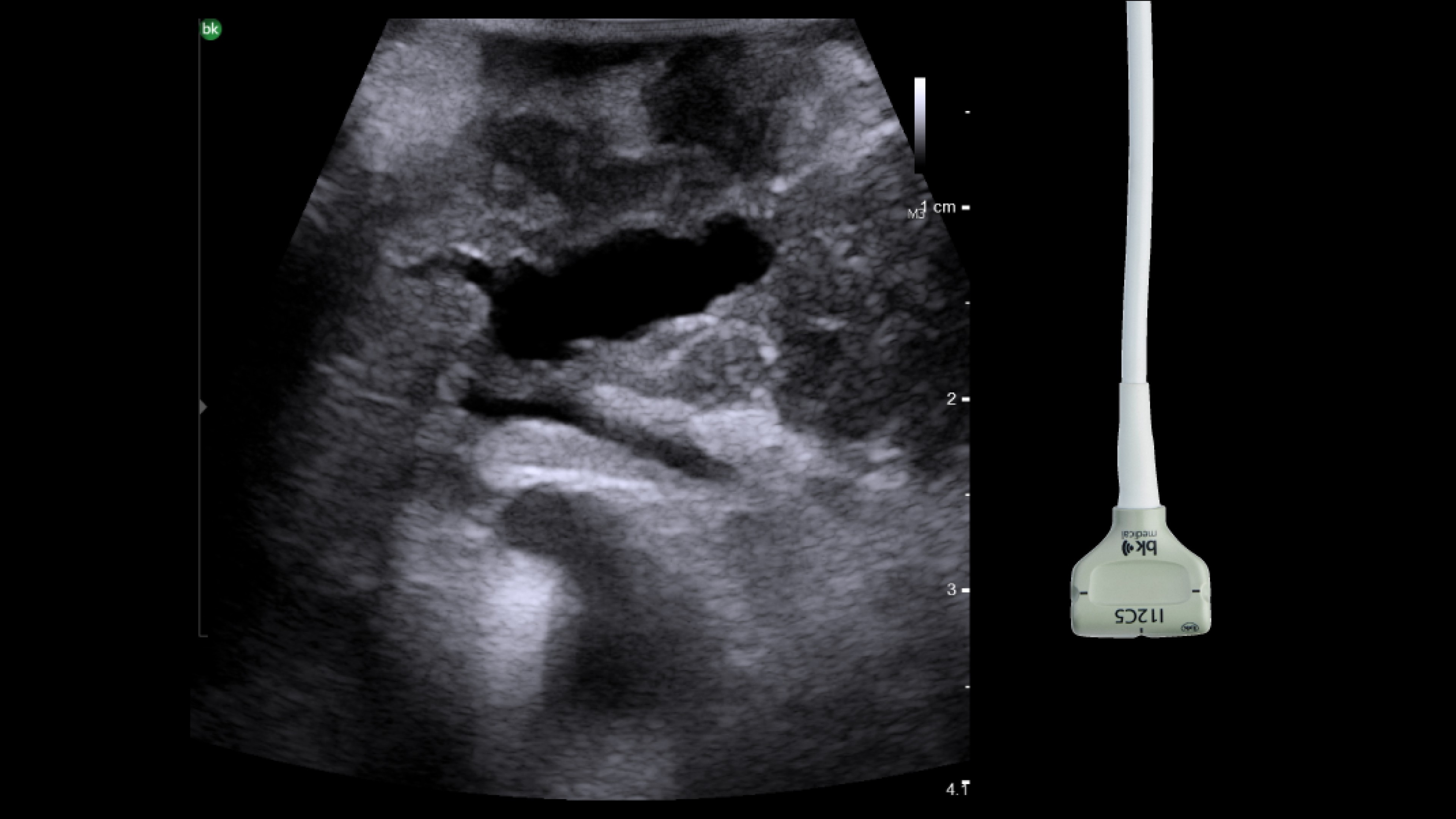 Product Media Carousel Image