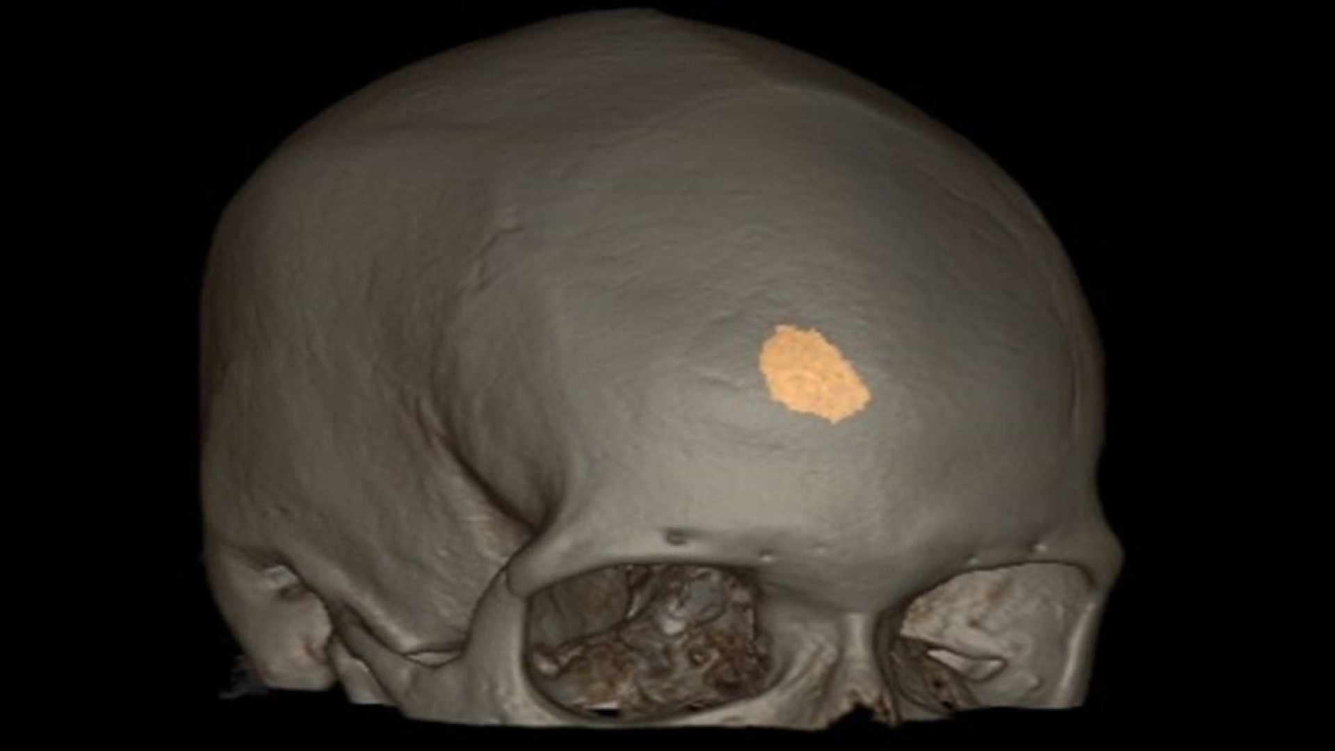 Product Media Carousel Image