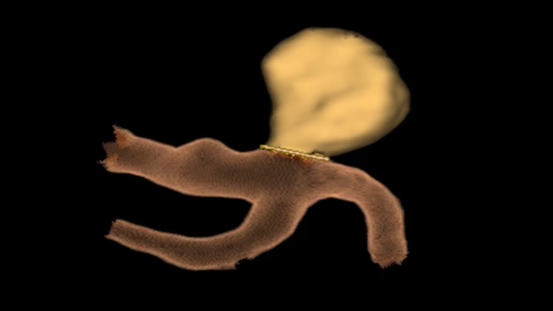 Product Media Carousel Image