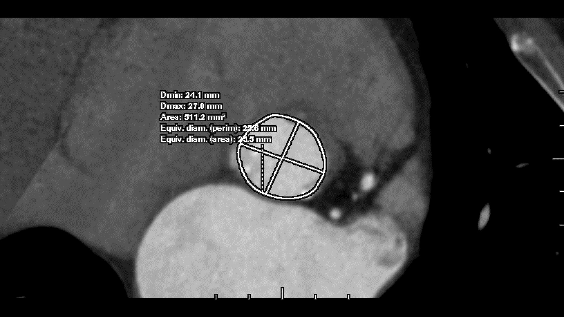Product Media Carousel Image