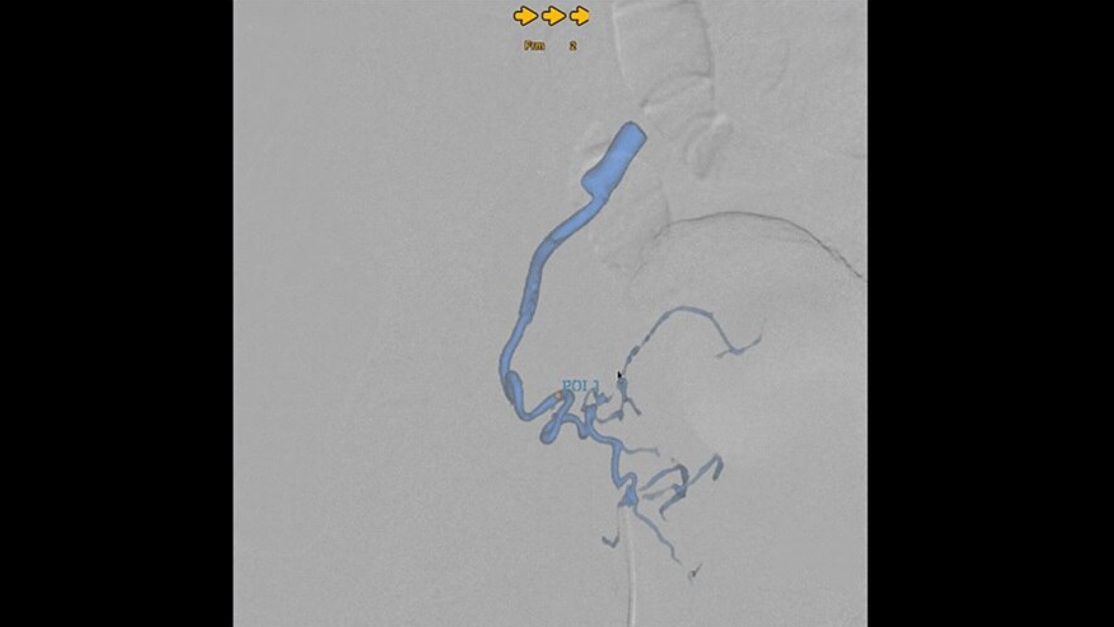 Product Media Carousel Image