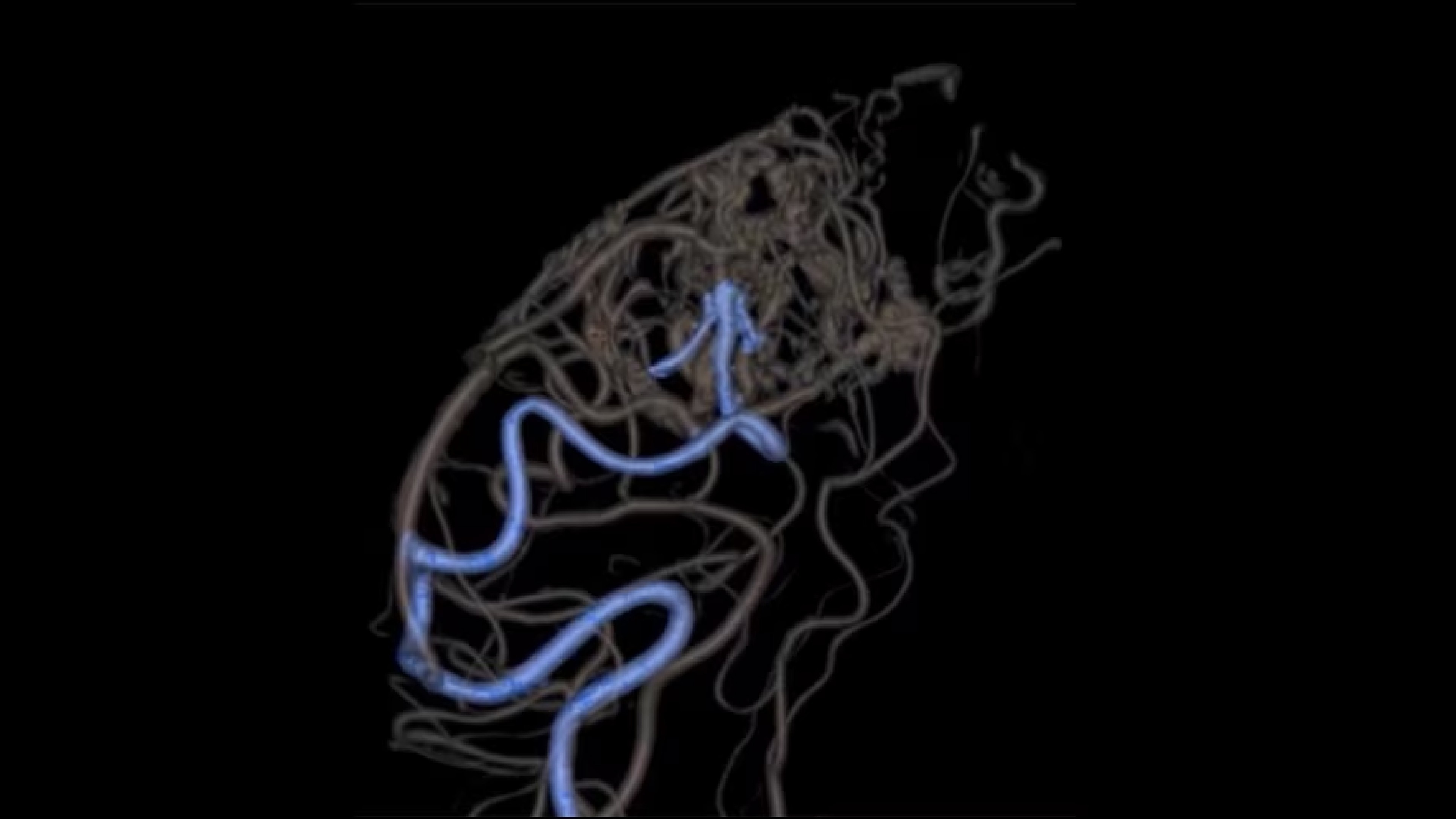 Product Media Carousel Image