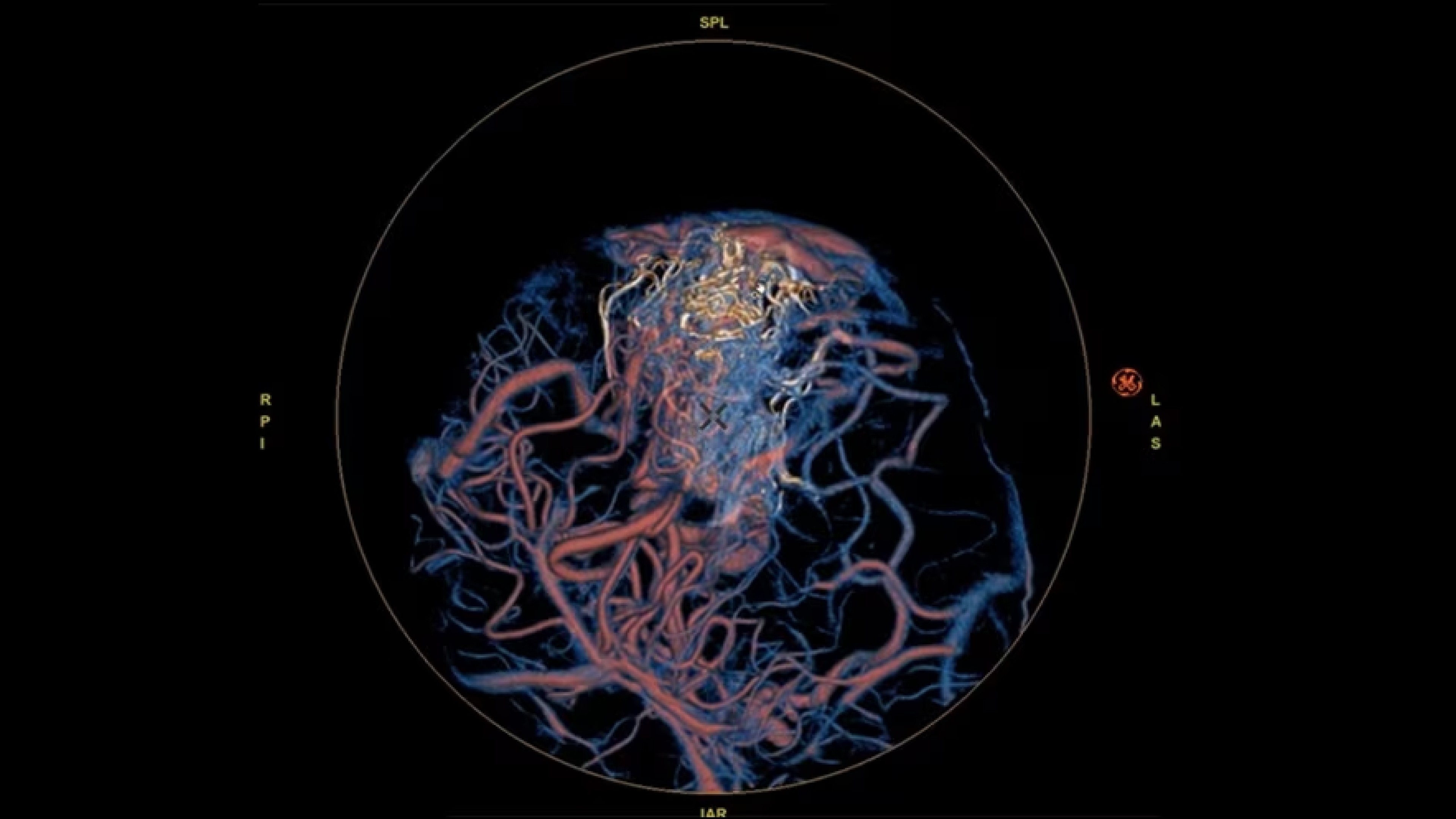 Product Media Carousel Image