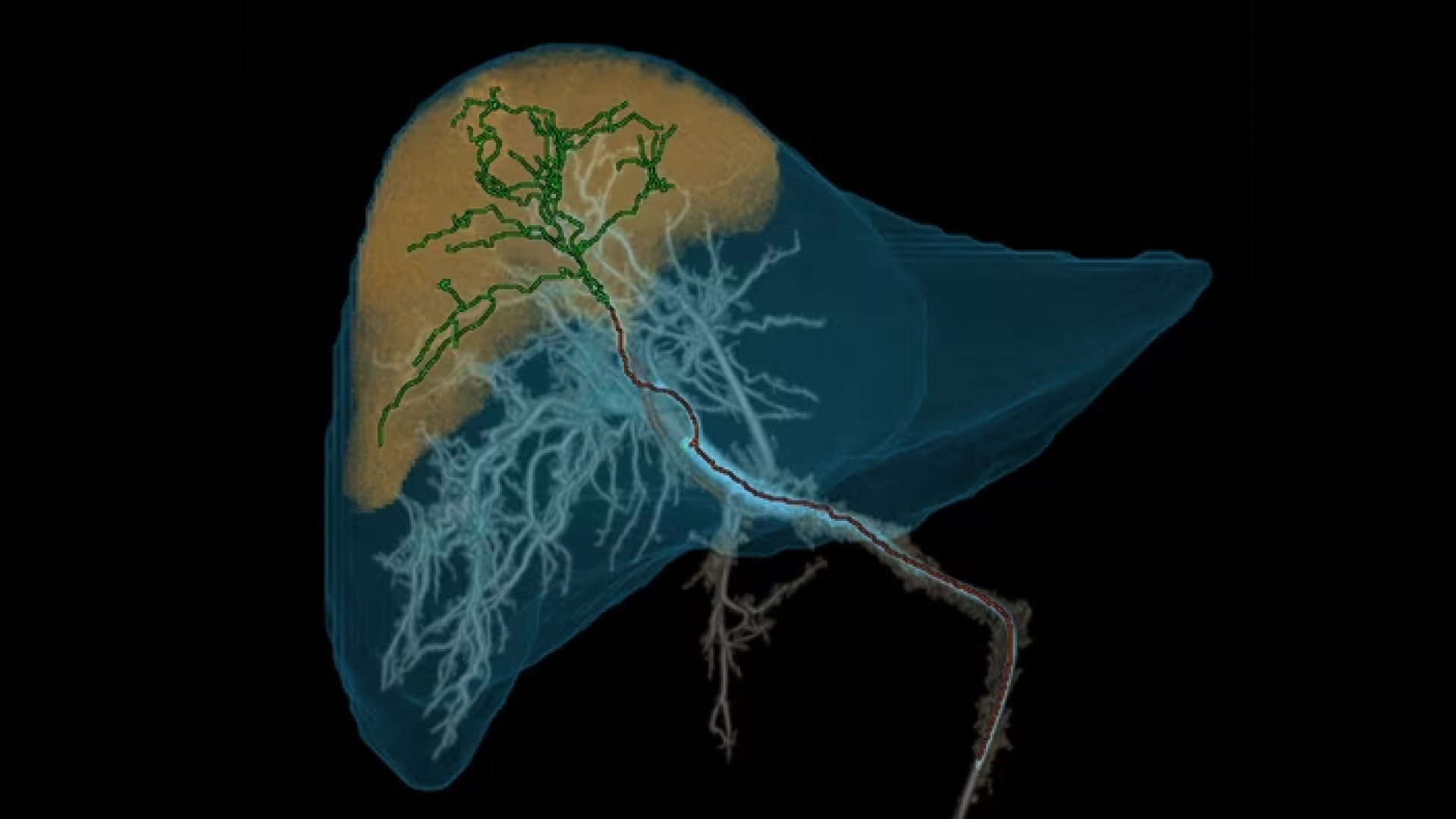 Product Media Carousel Image