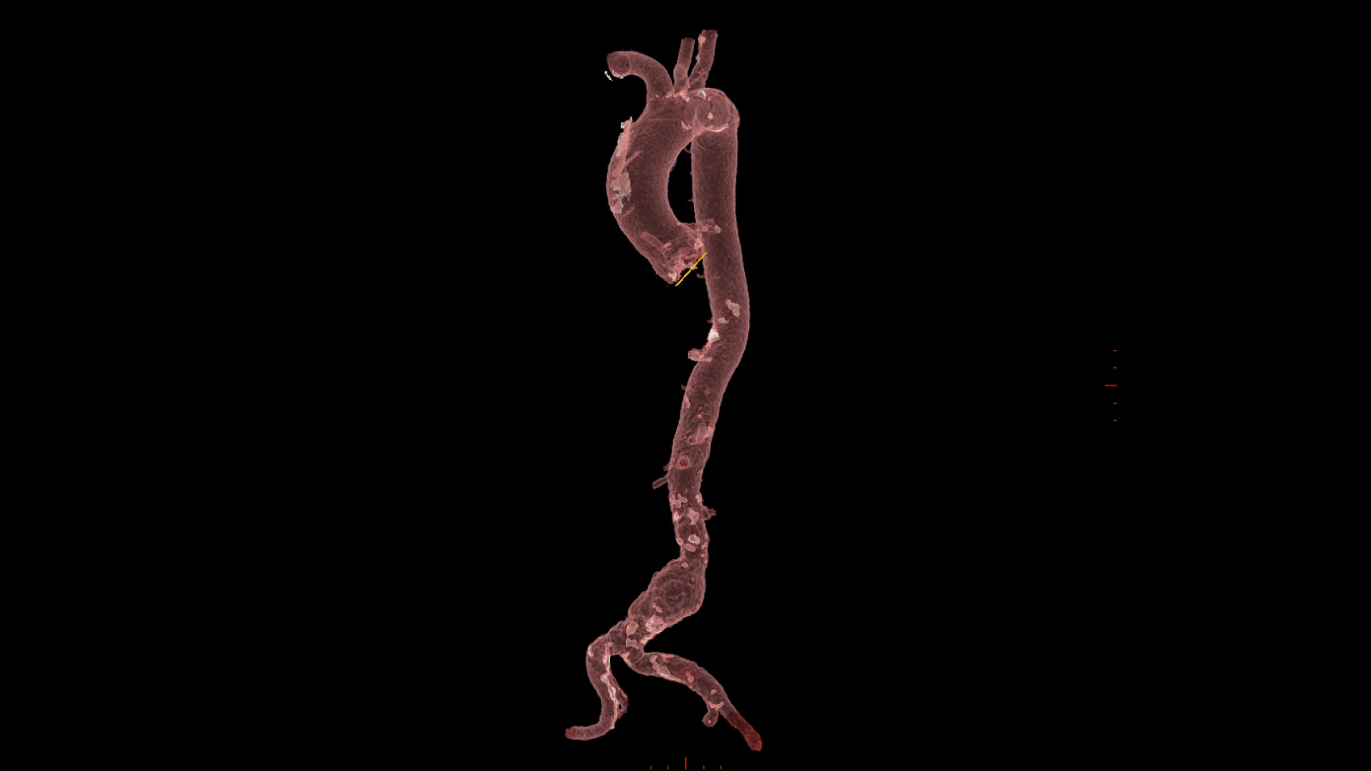 Product Media Carousel Image