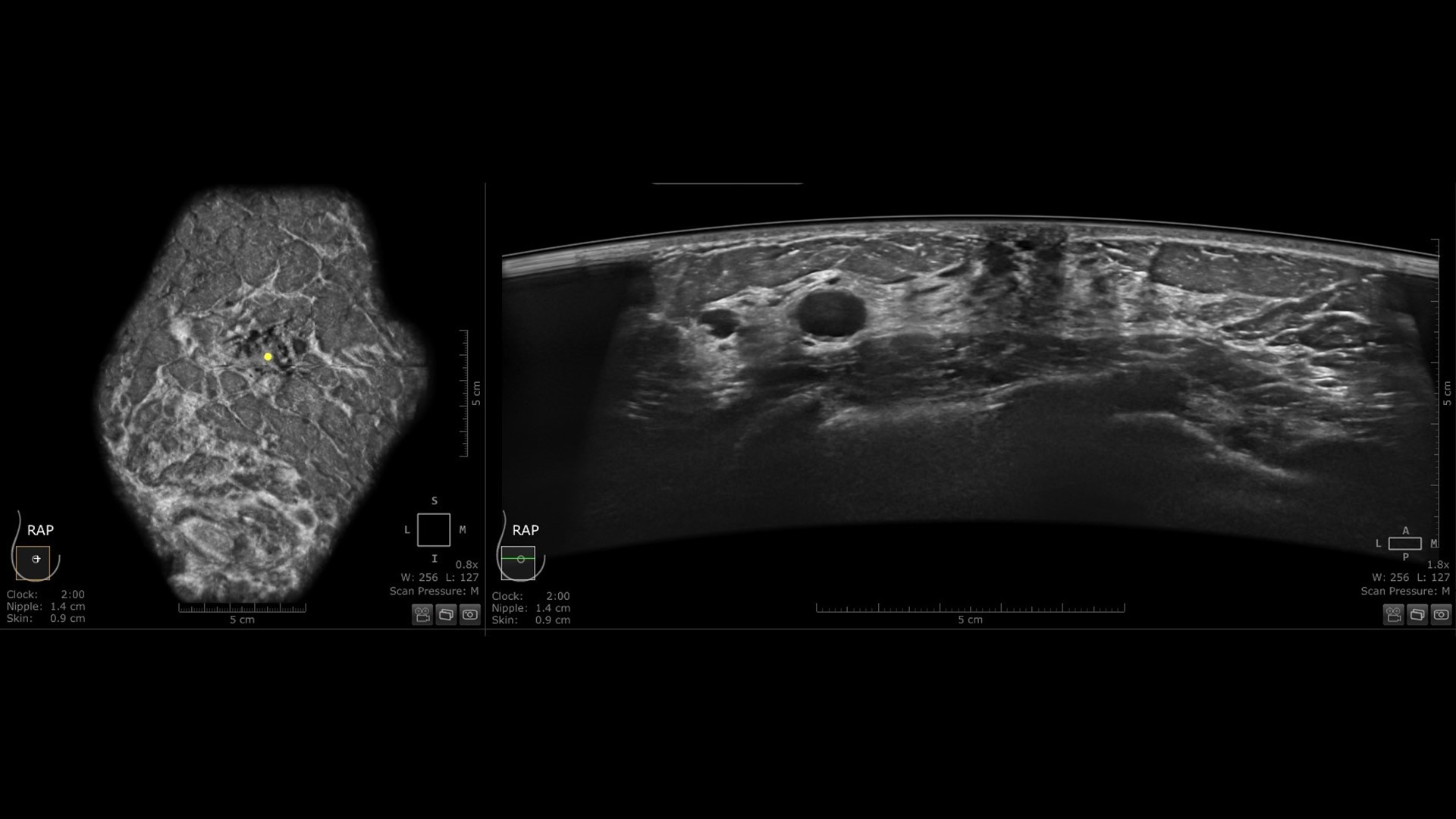 Product Media Carousel Image