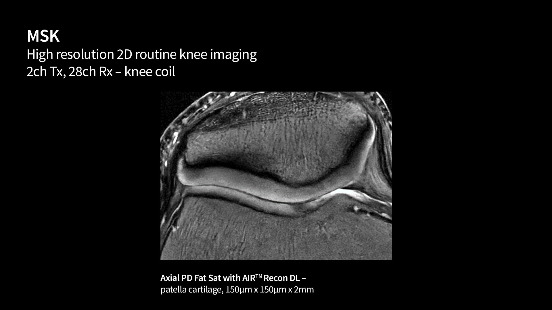 Product Media Carousel Image