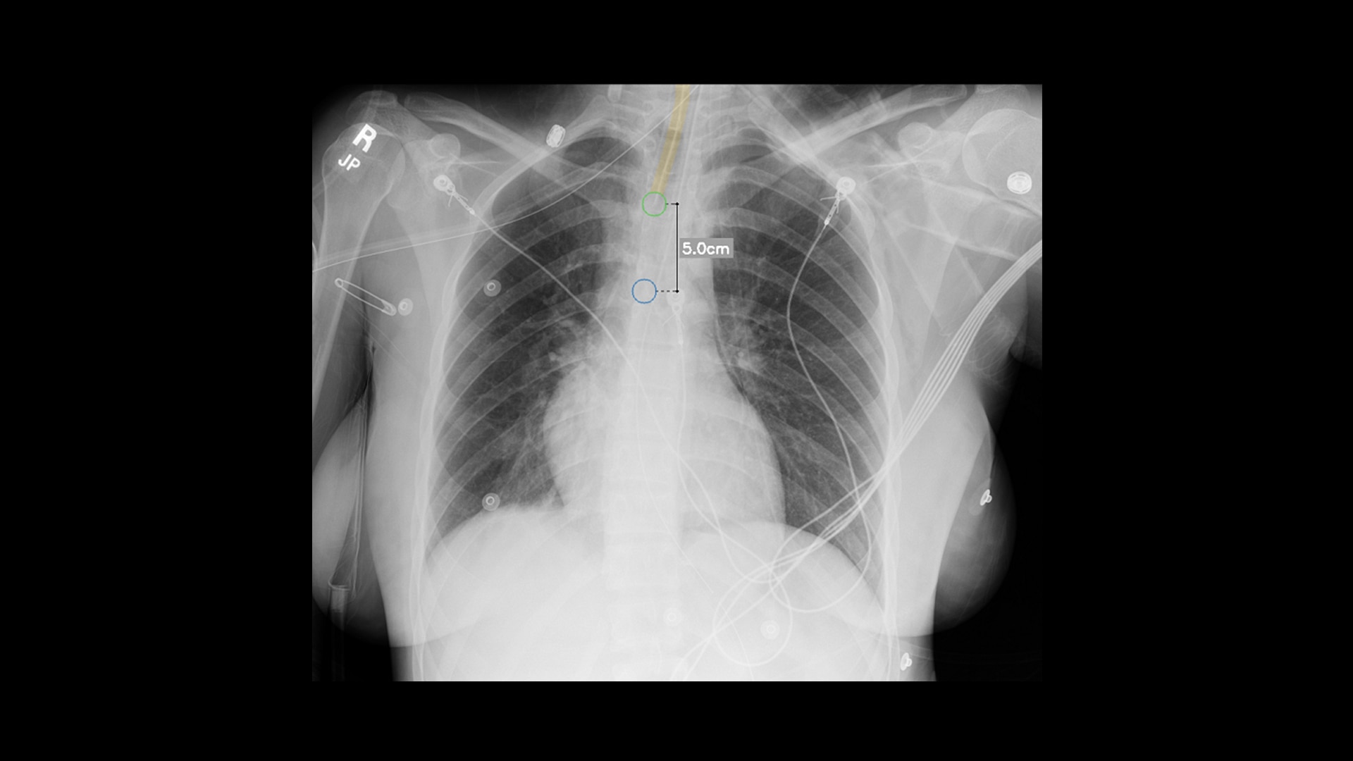 Product Media Carousel Image