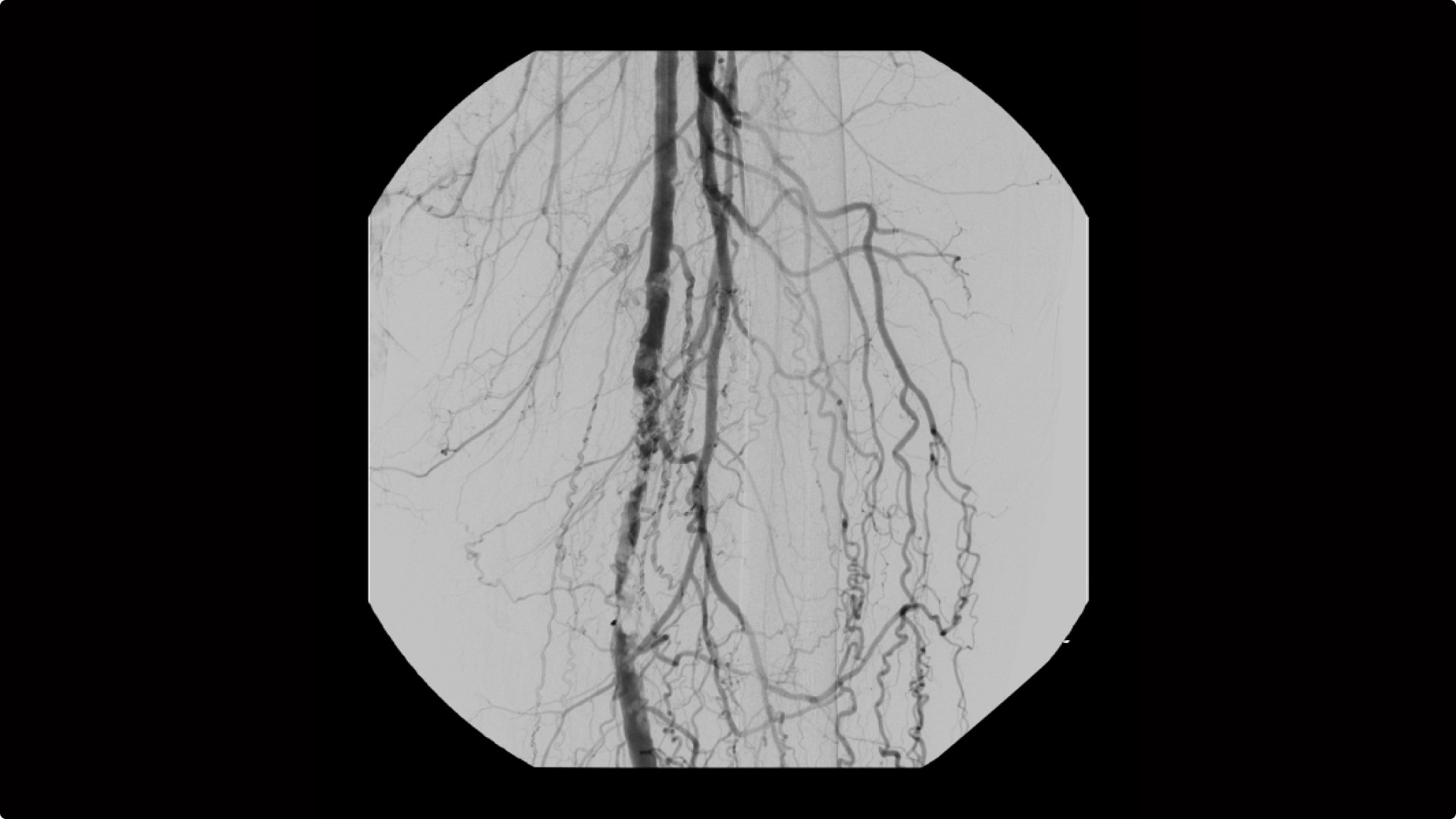 Product Media Carousel Image