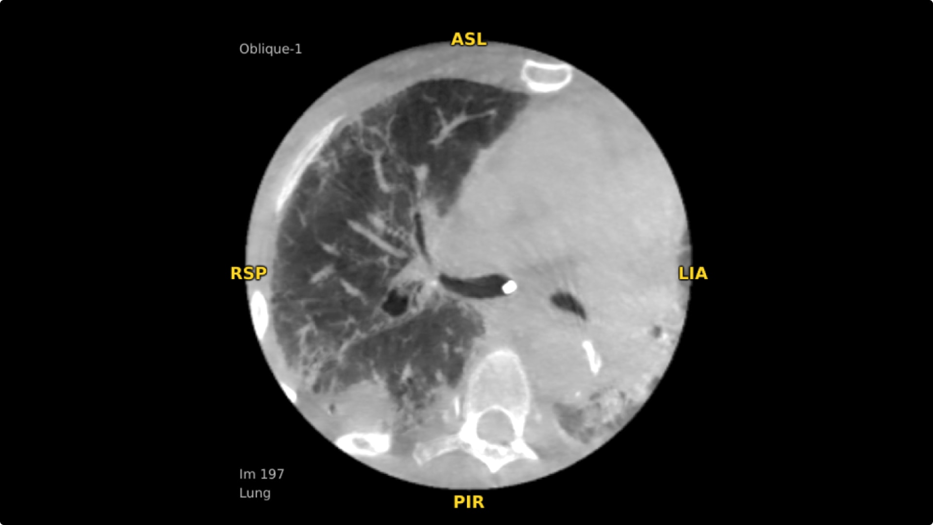 Product Media Carousel Image