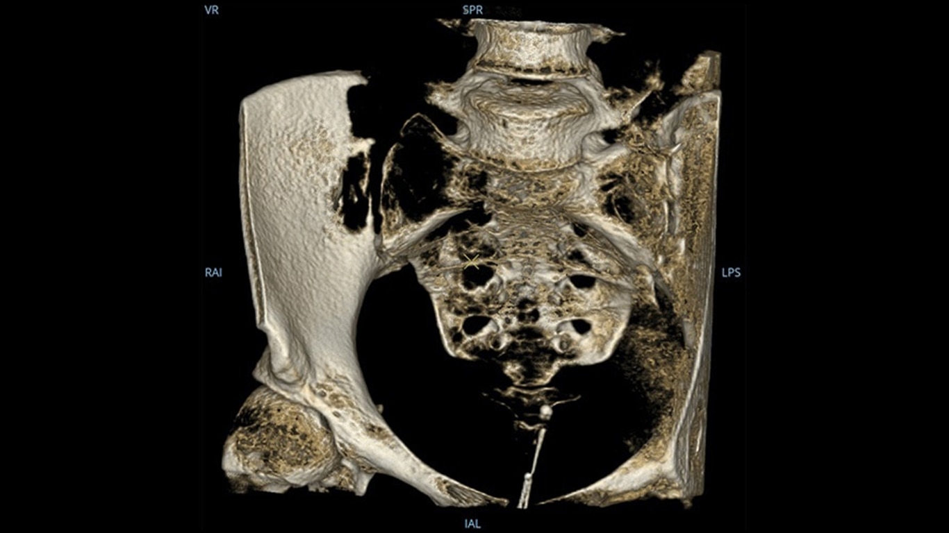 Product Media Carousel Image