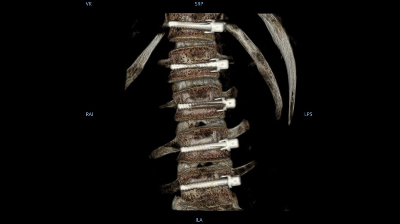 Product Media Carousel Image