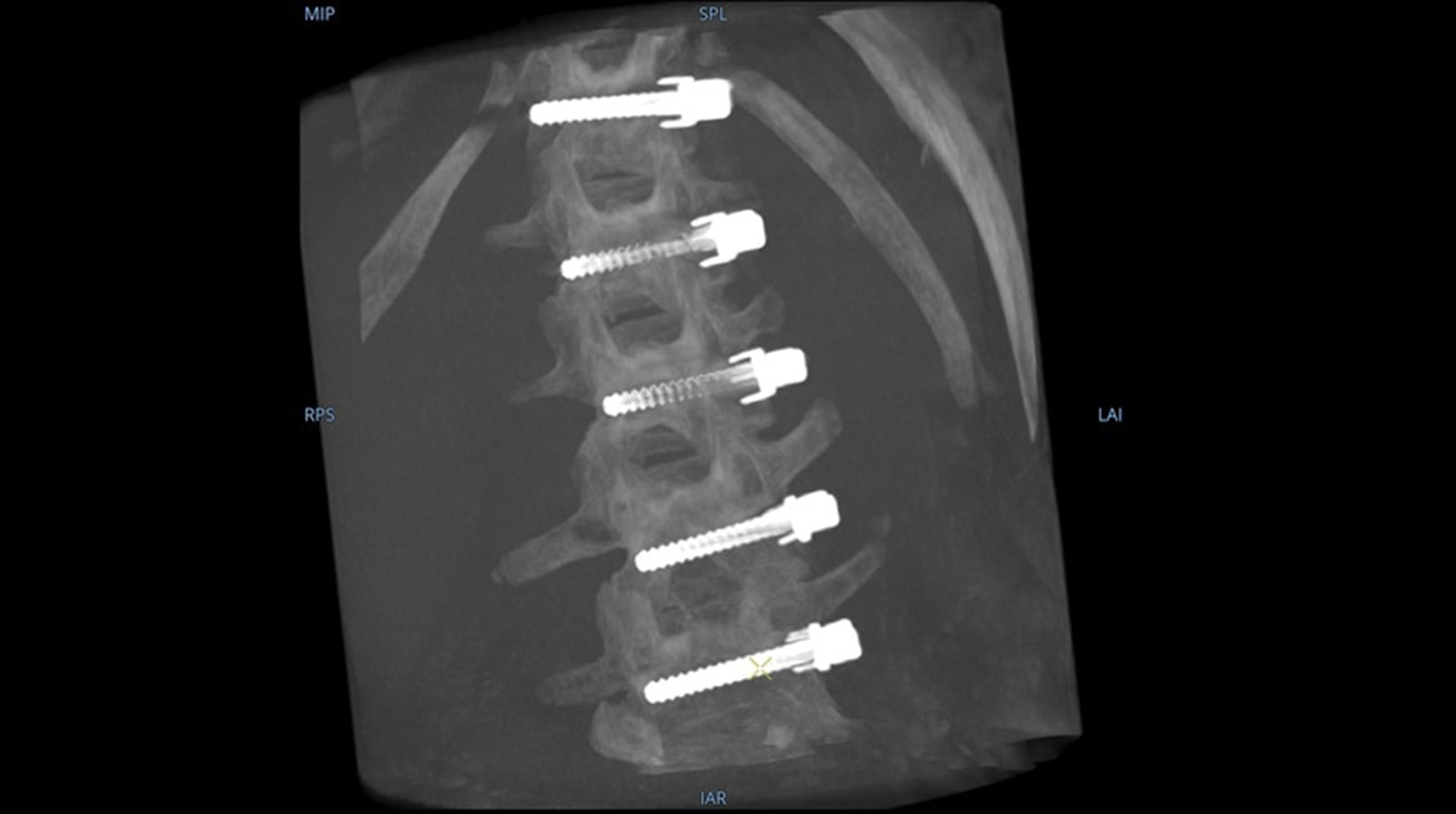 Product Media Carousel Image