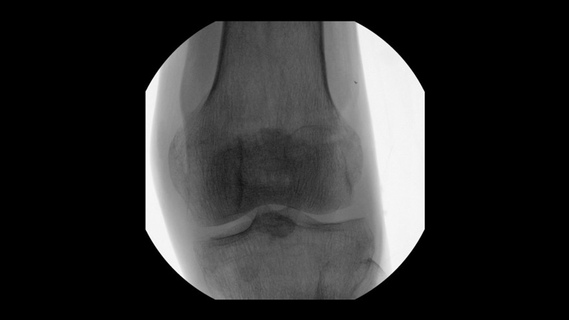 Product Media Carousel Image