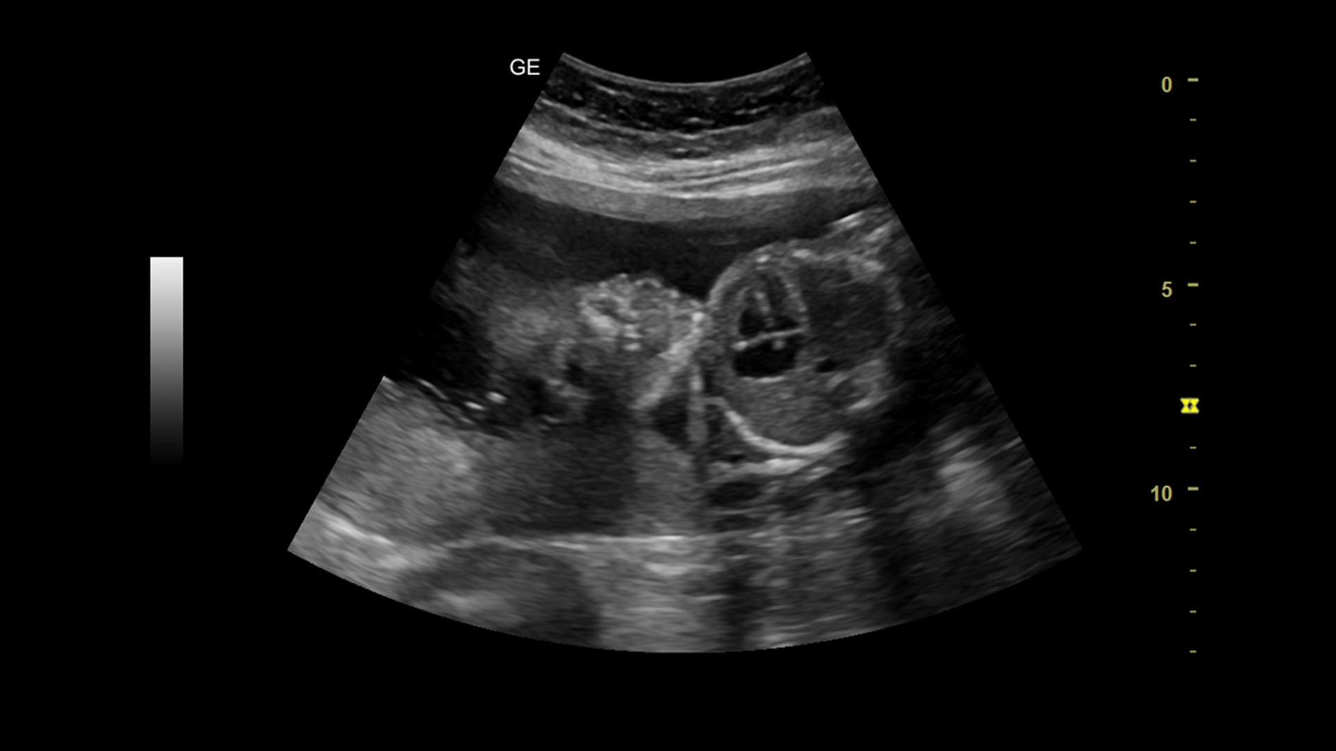 Product Media Carousel Image