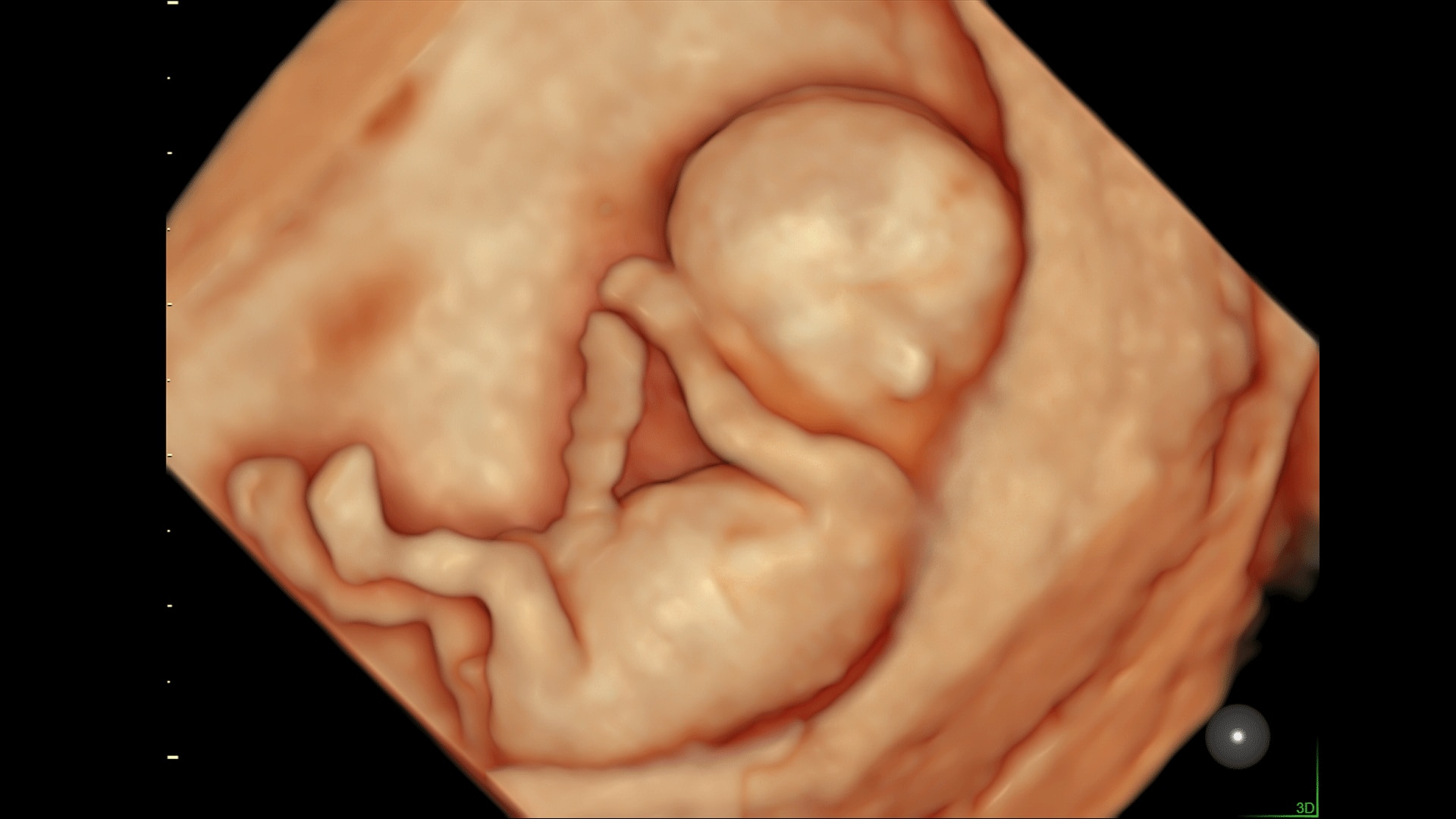 Product Media Carousel Image