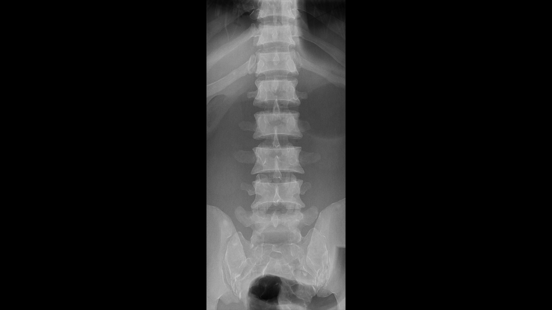 Product Media Carousel Image