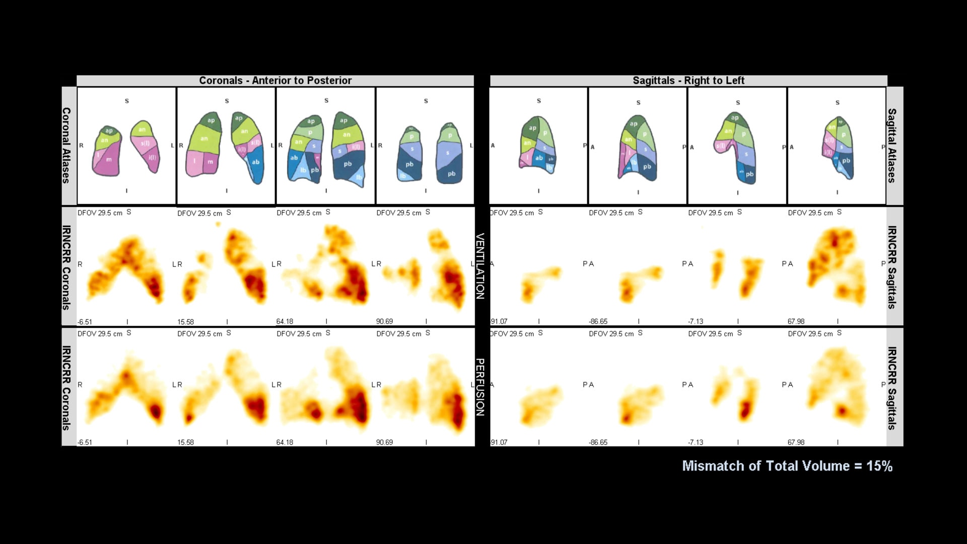 Product Media Carousel Image