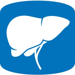 LOGIQ Anatomical Assistant