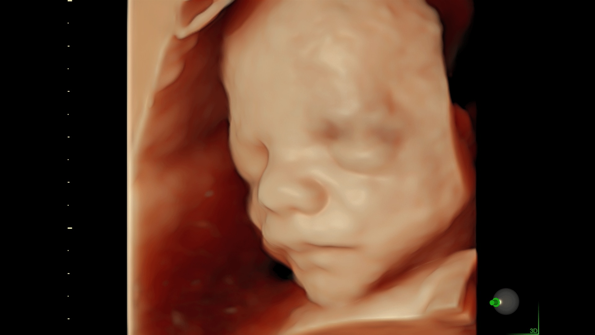 Product Media Carousel Image